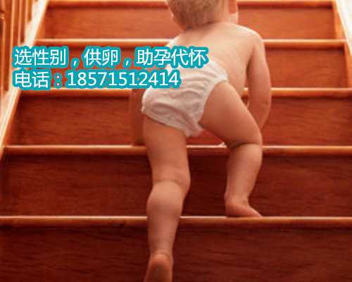 <b>[第五天的香港找人带生小孩属于几级]移植第五天胚胎图</b>