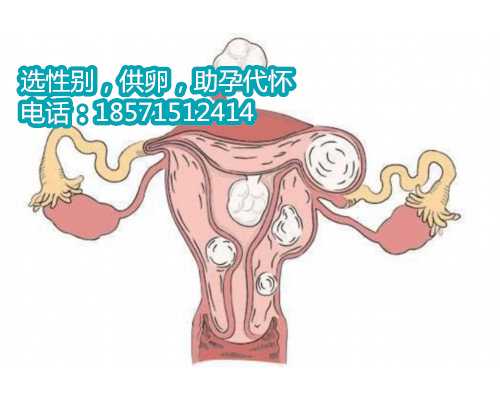 孕晚期可以每天喝椰子水吗？能促进香港代孕中介服务公司发育是真的吗？