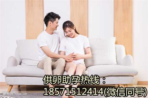 <b>安徽试管香港代生哪个不错供卵助孕生子医院排名</b>